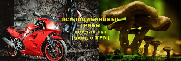 соль ск Зеленокумск
